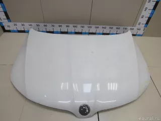 60U823031 VAG Капот Skoda Rapid Арт E81082035, вид 1