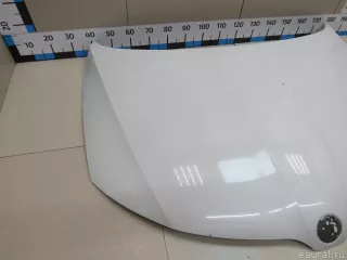 60U823031 VAG Капот Skoda Rapid Арт E81082035, вид 2