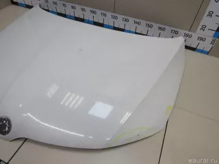 60U823031 VAG Капот Skoda Rapid Арт E81082035, вид 3