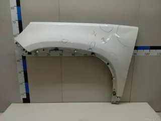 5N0821105A VAG Крыло переднее левое Volkswagen Tiguan 1 Арт E23734478, вид 1