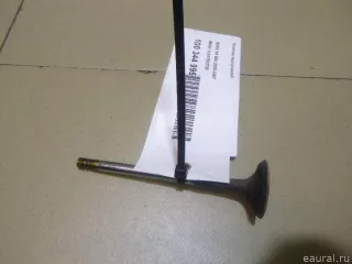 11347503738 BMW Клапан выпускной BMW X5 E53 Арт E100344995, вид 1