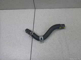 254622M800 Hyundai-Kia Шланг системы охлаждения Kia K5 3 Арт E100439481, вид 2