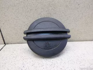 2Q0121321A VAG Крышка расширительного бачка Volkswagen Tiguan 1 Арт E100474538, вид 1