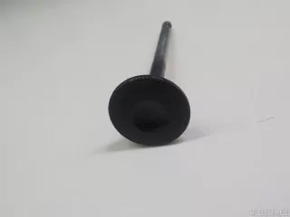 0949E1 Citroen-Peugeot Клапан выпускной Citroen C5 1 Арт E52053555, вид 6