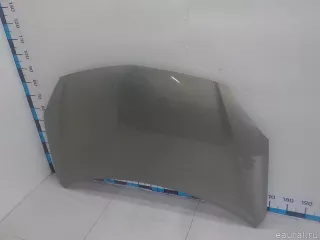 651000024R Renault Капот Renault Koleos Арт E41230745, вид 2