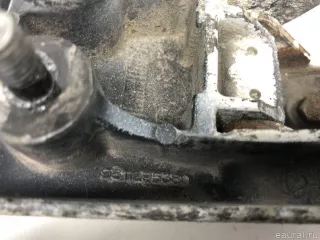 9820017880 Citroen-Peugeot Петля двери задней правой нижняя Citroen jumpy 3 Арт E31630395, вид 7