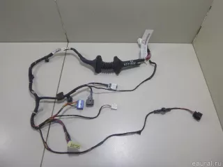 1606305480 Citroen-Peugeot Жгут проводов (Проводка) Peugeot 4007 Арт E14310239, вид 1