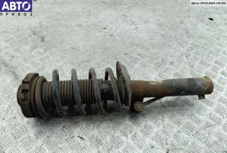  Стойка подвески передняя правая Volkswagen Passat B6 Арт 54836506, вид 1