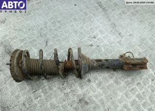 230491 Стойка подвески задняя левая Subaru Forester SF Арт 55047428, вид 2
