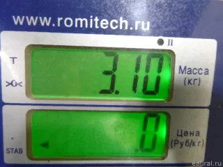 591101G000 Hyundai-Kia Усилитель тормозов вакуумный Kia Rio 2 Арт E48274697, вид 5