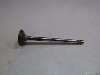 03C109611G VAG Клапан выпускной Audi A3 8P Арт E48418247, вид 1