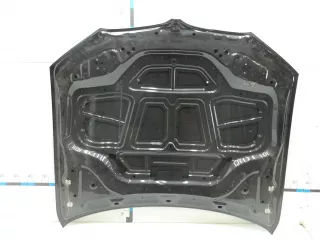 41617267337 Капот BMW X3 G01 Арт BIT693088, вид 4