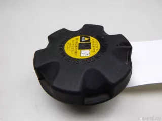 17117639020 BMW Крышка расширительного бачка BMW 3 E90/E91/E92/E93 Арт E48463018, вид 1
