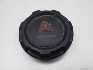 2Q0121321A VAG Крышка расширительного бачка Volkswagen Golf 7 Арт E48548561, вид 1