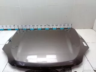 5330142100 Toyota Капот Toyota Rav 4 3 Арт E48592627