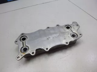 6421800165 Mercedes Benz Радиатор масляный Jeep Cherokee KL Арт E48598406, вид 5