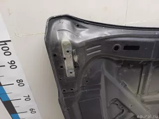5730065810 Suzuki Капот Suzuki Grand Vitara JT Арт E70800553, вид 9