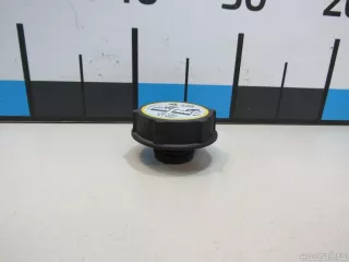 1301104 Ford Крышка расширительного бачка Ford Ranger 3 Арт E81074286, вид 2