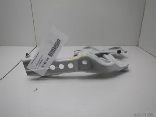 565823301 VAG Петля капота левая Skoda Kodiaq Арт E70756099, вид 4