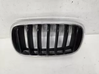 51712334708 Решетка радиатора BMW X5 F15 Арт lz237033, вид 1