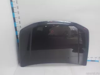 5730065811 Suzuki Капот Suzuki Grand Vitara JT Арт E70800399, вид 3