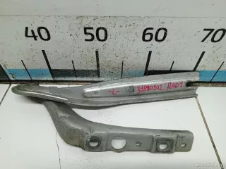 791276 Citroen-Peugeot Петля капота левая Peugeot 407 Арт E31590502, вид 1