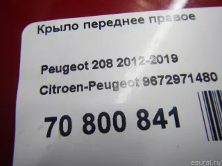 9672971480 Citroen-Peugeot Крыло переднее правое Peugeot 208 Арт E70800841, вид 11