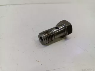 2114084460 Hyundai-Kia Болт полый Hyundai HD Арт E36269140, вид 1