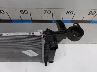 2069031600 Радиатор основной Geely Monjaro Арт BIT777145, вид 3