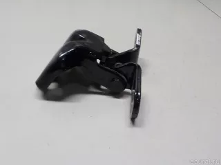 794203M000 Hyundai-Kia Петля двери задней правой Genesis G80 Арт E52008226, вид 3