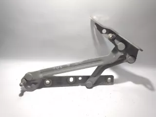 6s43-f42701-aa Петля крышки багажника Ford Focus 2 restailing Арт 162616