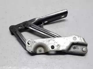 90508956 Петля капота Opel Vectra B Арт 187059, вид 2