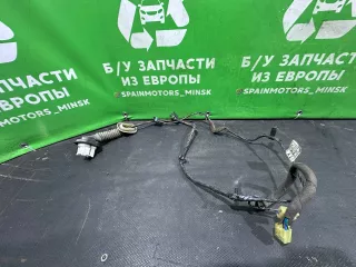 Проводка двери задней правой Daewoo Leganza Арт 2000000034053, вид 1