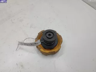 9202799 Пробка расширительного бачка Opel Vectra C  Арт 55096960, вид 1