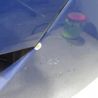  Крышка багажника (дверь 3-5) Ford Focus 3 Арт AL13354743955, вид 3