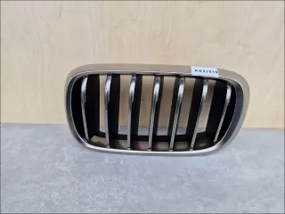 51137349387,ORG Решетка радиатора BMW X6 F16 Арт AL15201744669, вид 1