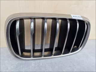 51137349387,ORG Решетка радиатора BMW X6 F16 Арт AL15201744669, вид 2