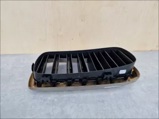 51137349387,ORG Решетка радиатора BMW X6 F16 Арт AL15201744669, вид 3