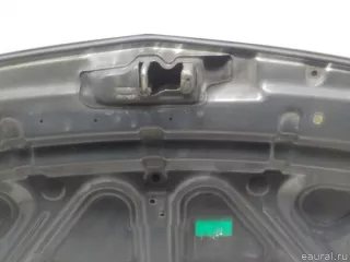 651000024R Renault Капот Renault Koleos Арт E60709268, вид 18