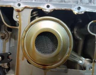 1900038390 Toyota Двигатель Lexus LS 5 Арт E23767091, вид 8