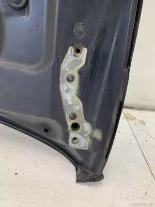 41617121102 BMW Капот BMW X5 E53 Арт E41242925, вид 15