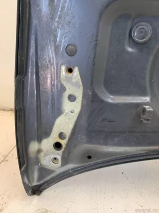 41617121102 BMW Капот BMW X5 E53 Арт E41242925, вид 16