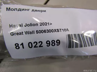5006510XST01A Great Wall Молдинг задней левой двери Haval Jolion Арт E81022989, вид 8