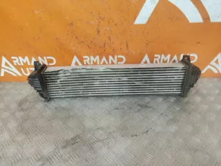 302000800AA, 4 интеркулер EXEED RX Арт AR305485, вид 4