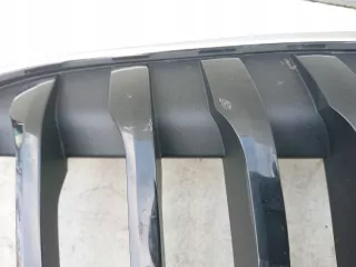 8493450,kolumb Решетка радиатора BMW X1 F48 Арт AL13429133392_2, вид 8