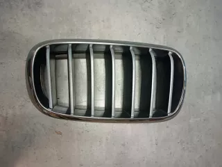 7309775,7316076 Решетка радиатора BMW X5 F15 Арт AL14081892503, вид 1