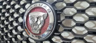 Решетка радиатора Jaguar F-Pace Арт AL14400023653, вид 2