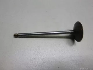 12590223 GM Клапан впускной Cadillac DE Ville 11 4.6л Арт E41224300, вид 1