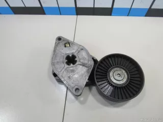 PQG100141L Land Rover Ролик натяжителя Rover 45 Арт E81090030, вид 1