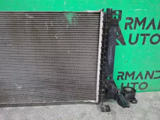 2069031600, 8890154097, 7 Радиатор двигателя (двс) Geely Monjaro Арт 373897RM, вид 5